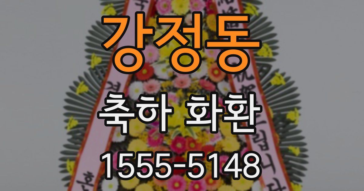 강정동 축하 화환