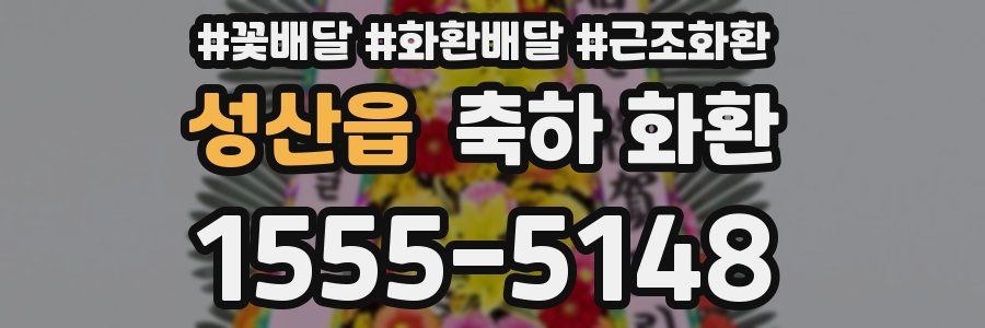 성산읍 축하 화환