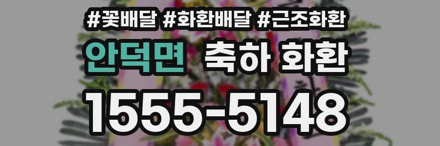 안덕면 축하 화환