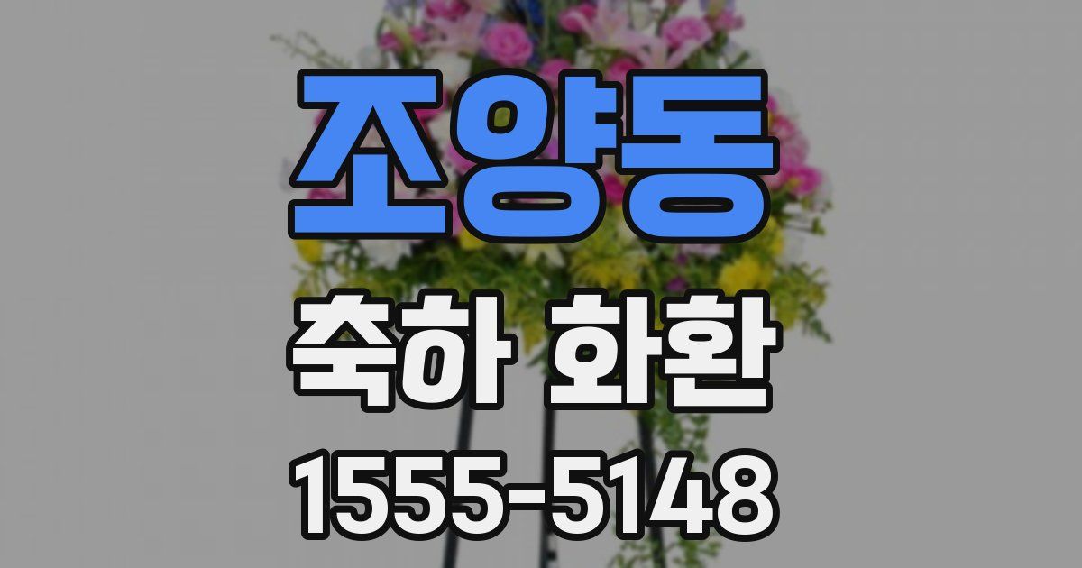 조양동 축하 화환