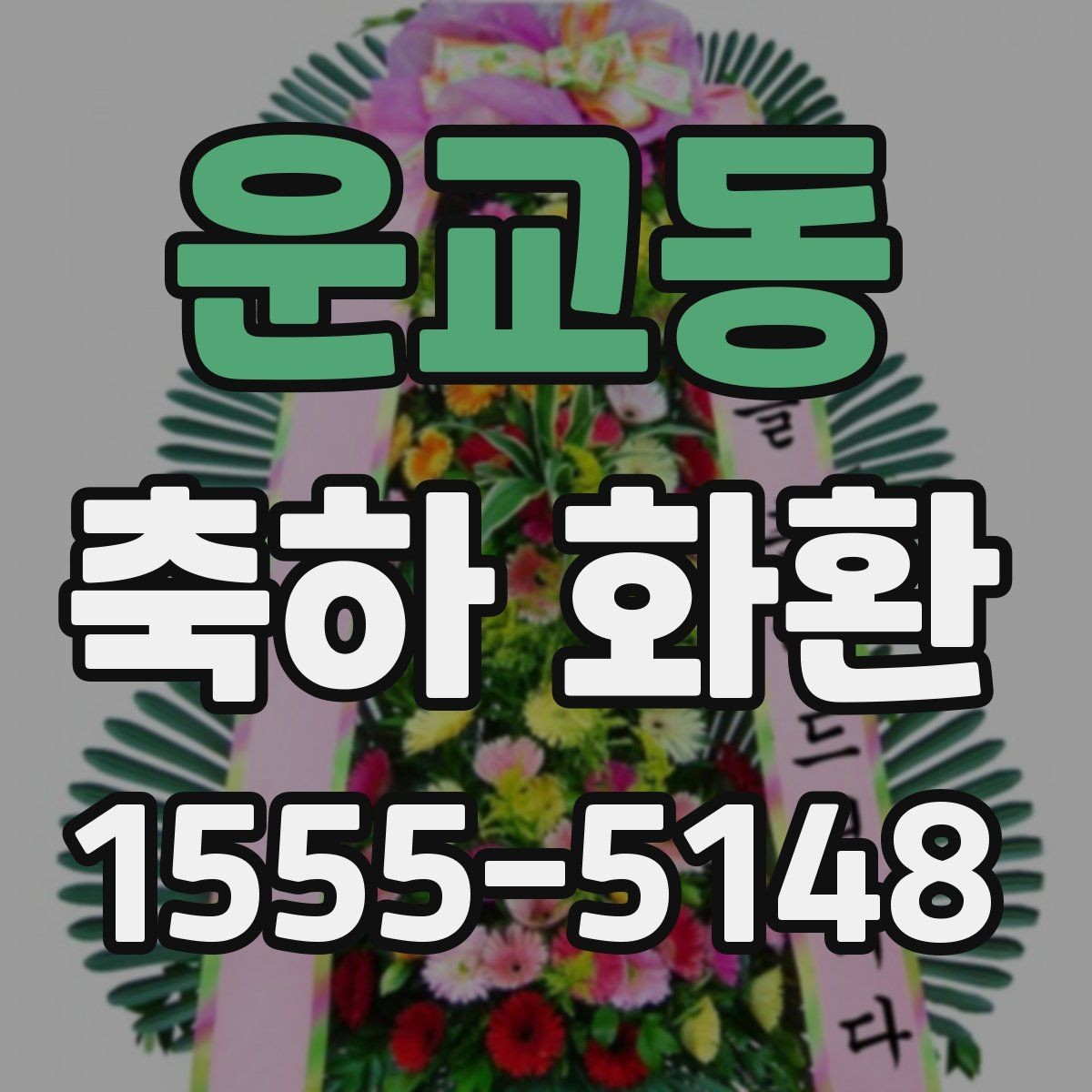 운교동 축하 화환 행사장 분위기와 어울리는 색감