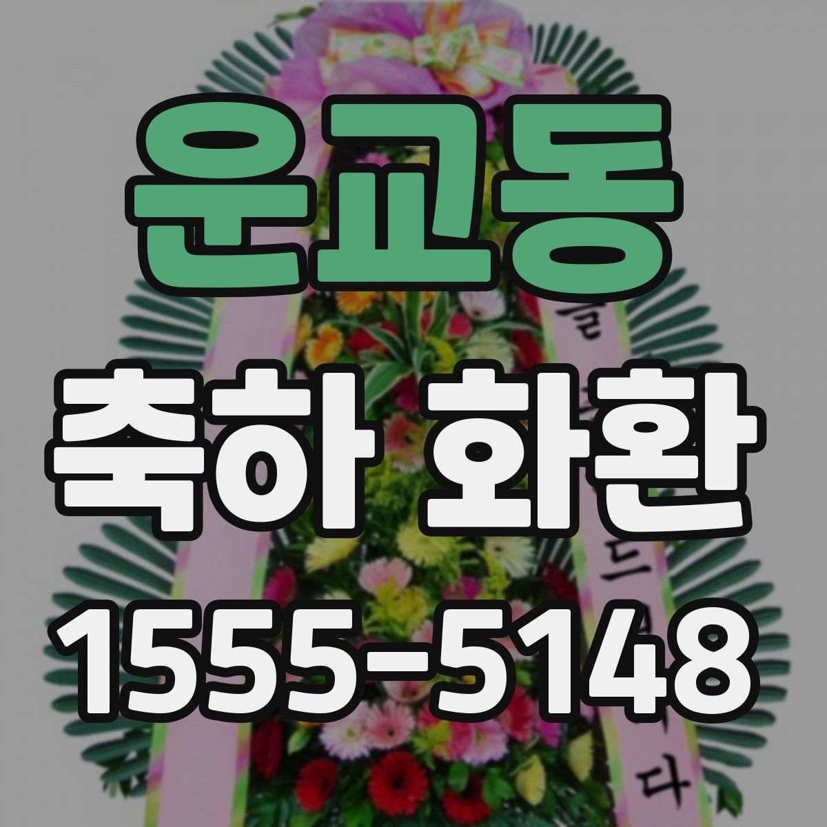 운교동 축하 화환