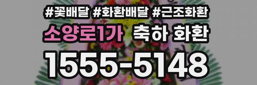 소양로1가 축하 화환