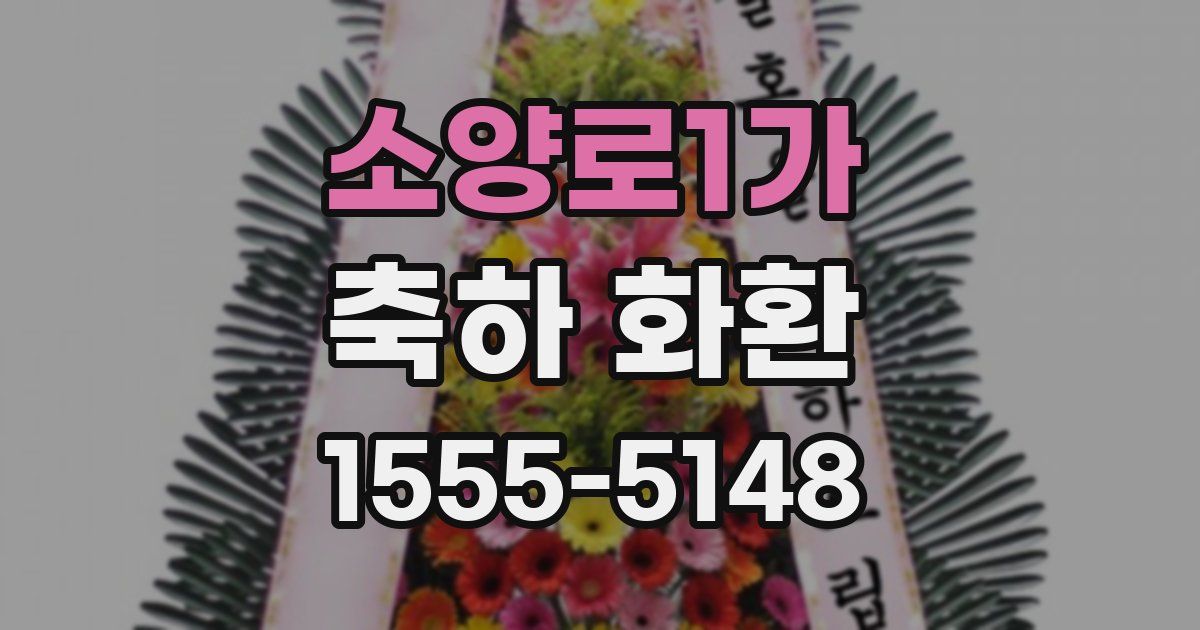 소양로1가 축하 화환