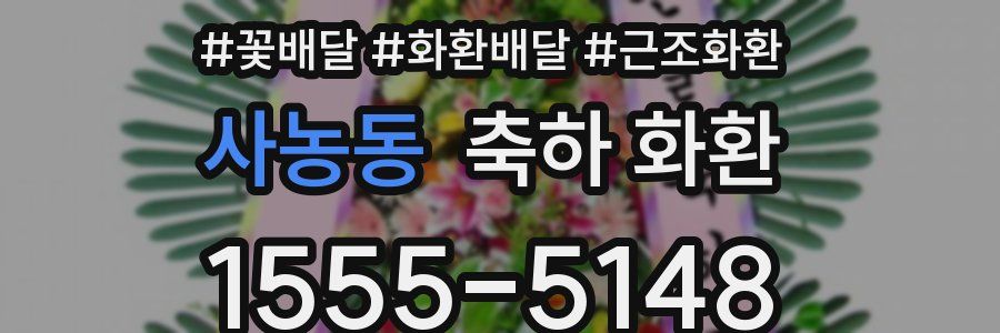 사농동 축하 화환