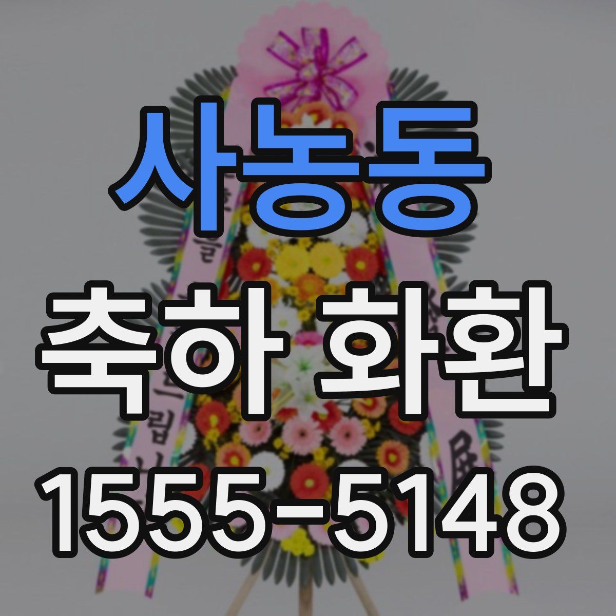 사농동 축하 화환