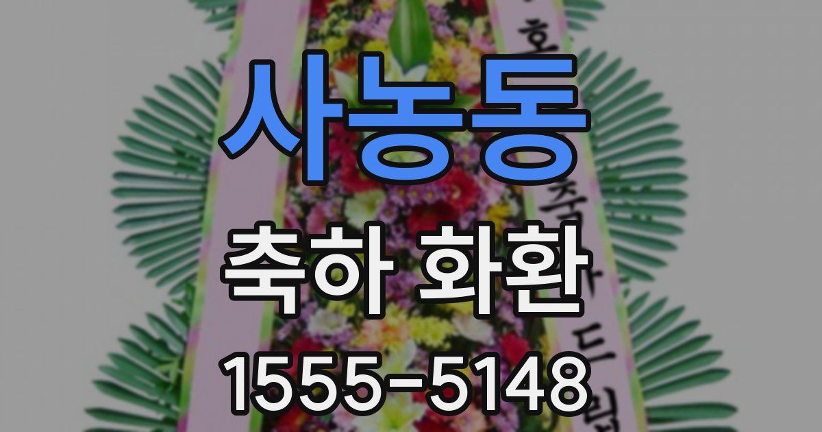 사농동 축하 화환