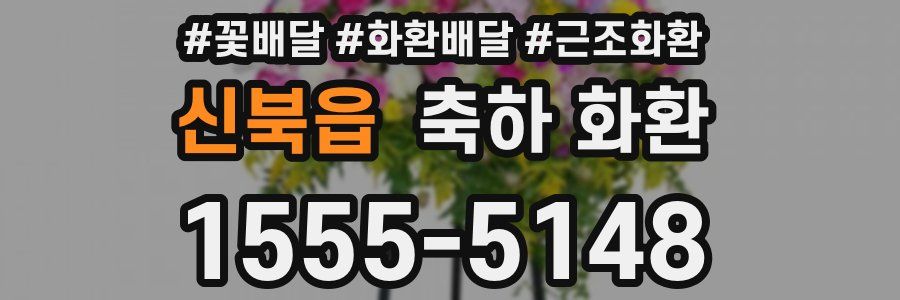 신북읍 축하 화환