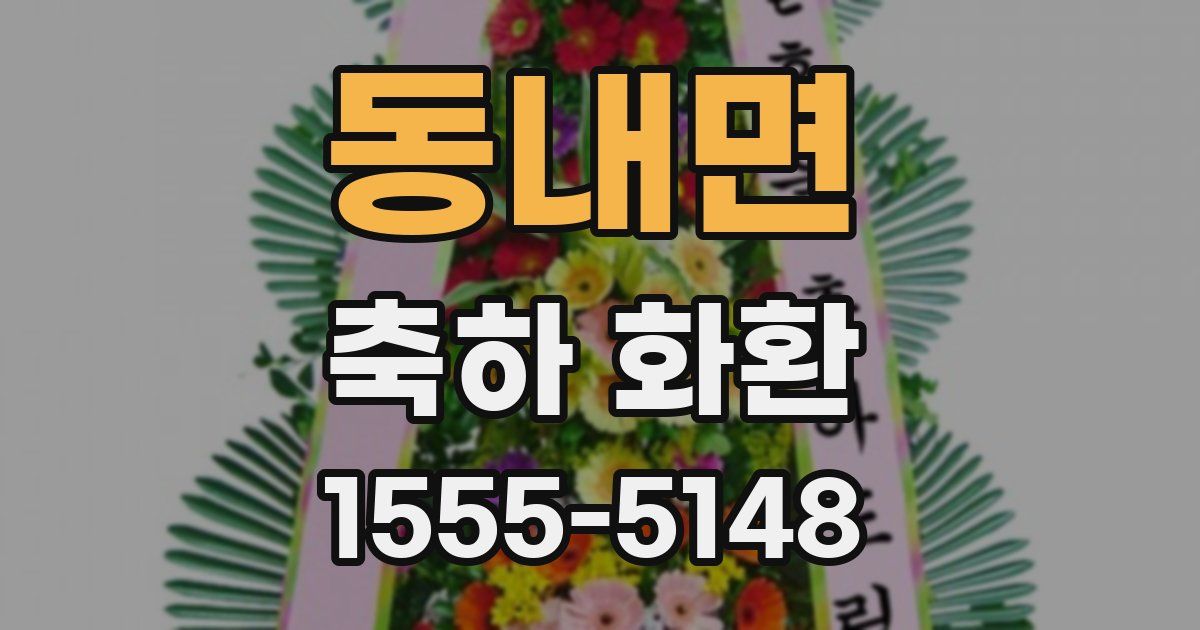 동내면 축하 화환