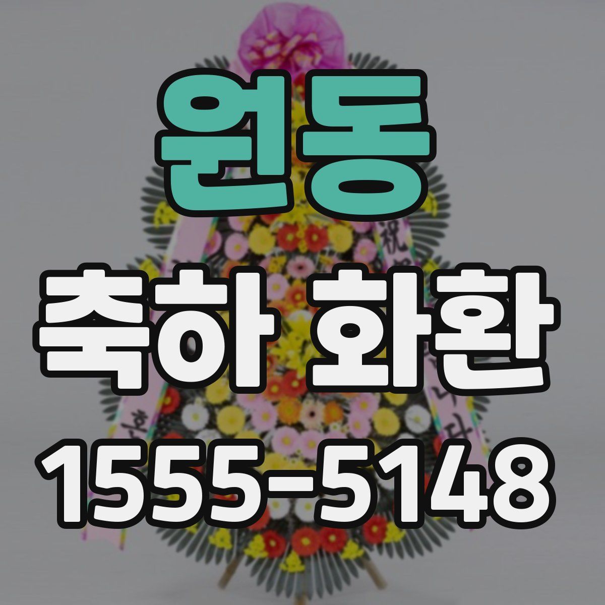 원동 축하 화환