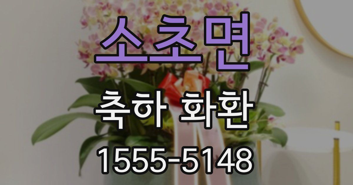 소초면 축하 화환