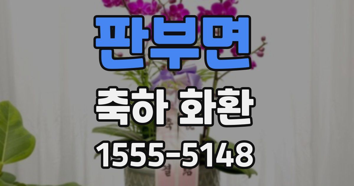 판부면 축하 화환