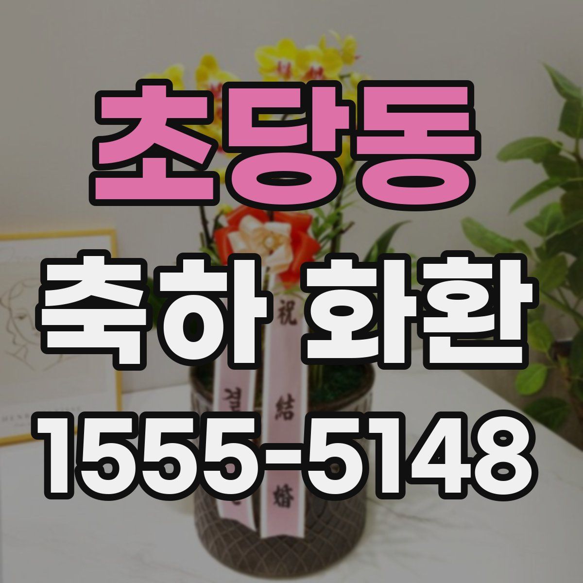 초당동 축하 화환