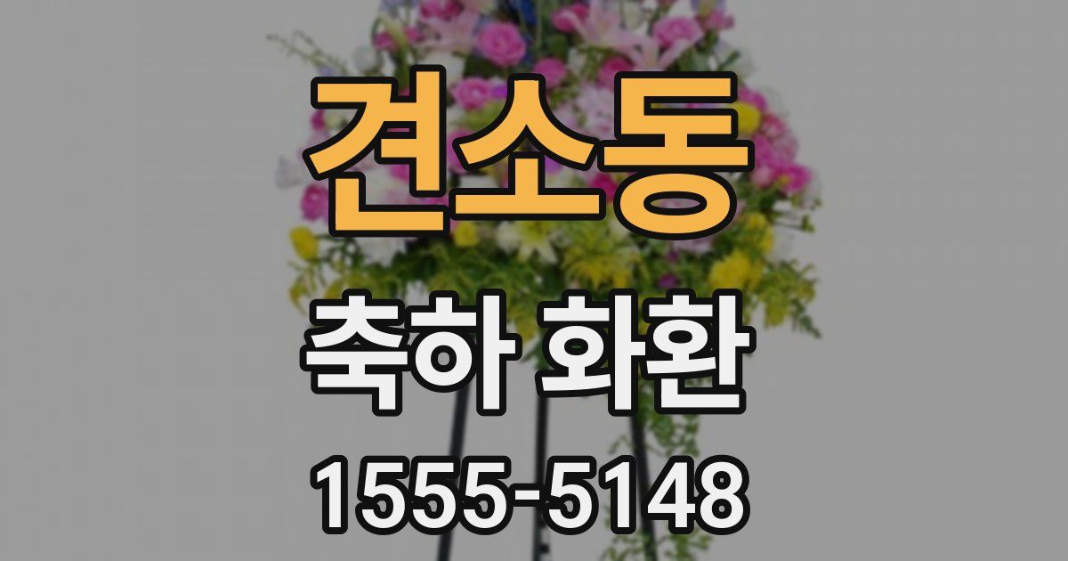 견소동 축하 화환