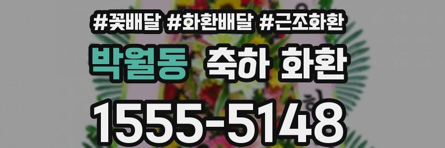 박월동 축하 화환