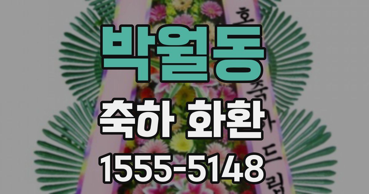 박월동 축하 화환