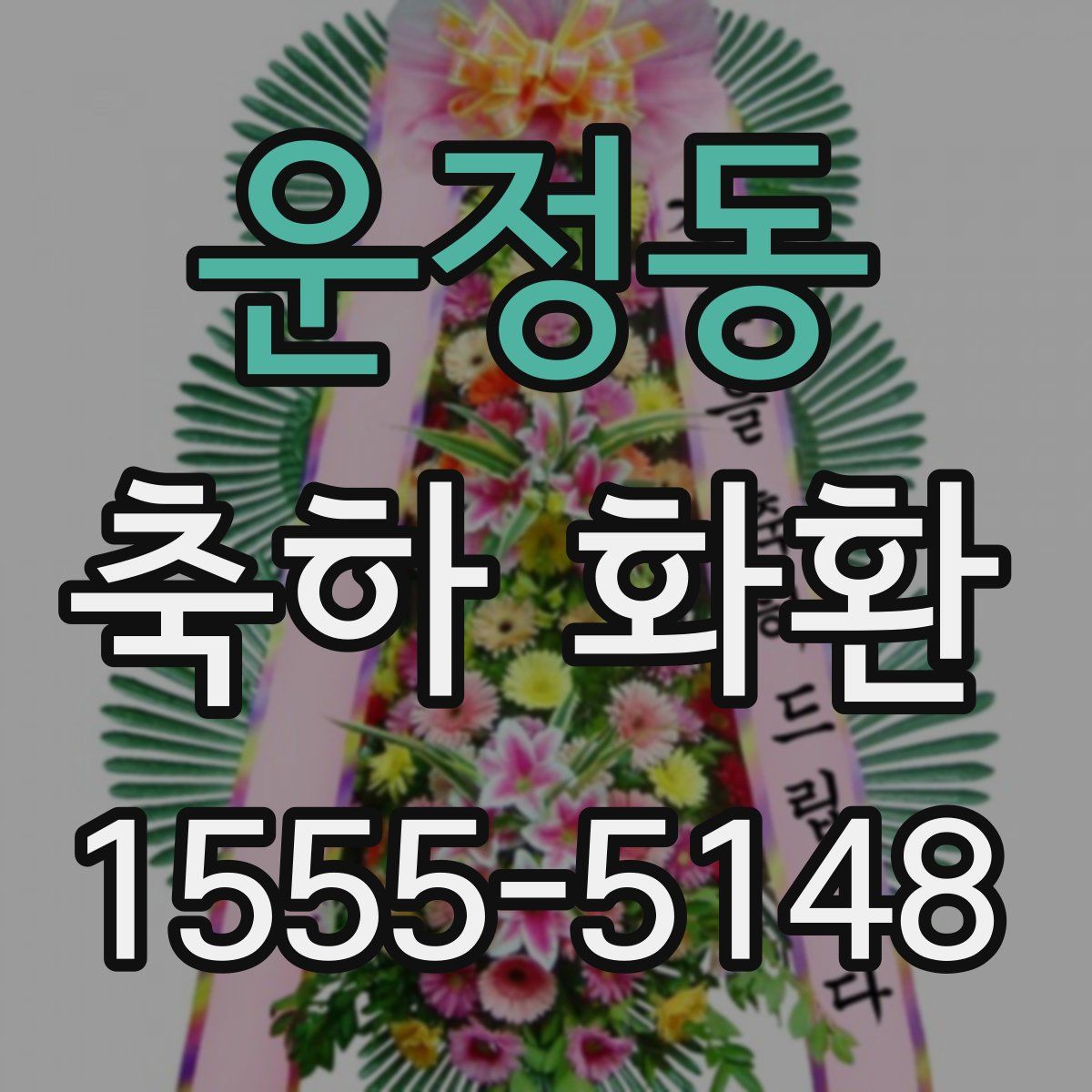 운정동 축하 화환