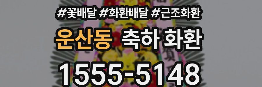 운산동 축하 화환