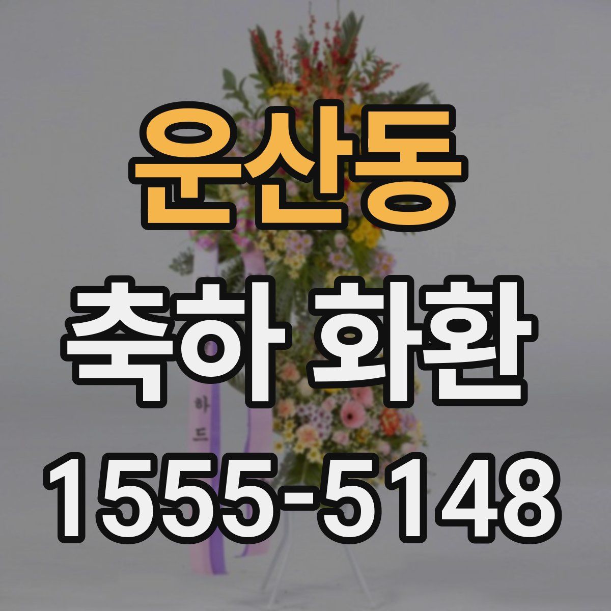 운산동 축하 화환