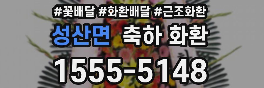 성산면 축하 화환