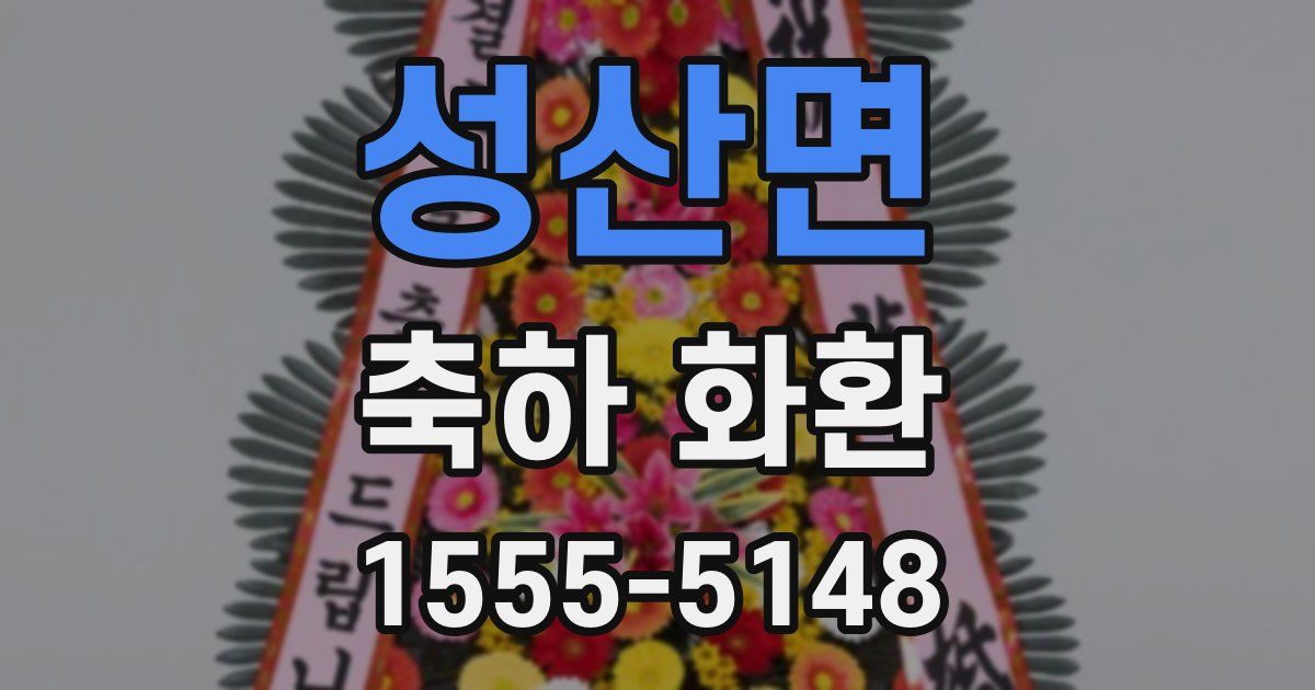 성산면 축하 화환