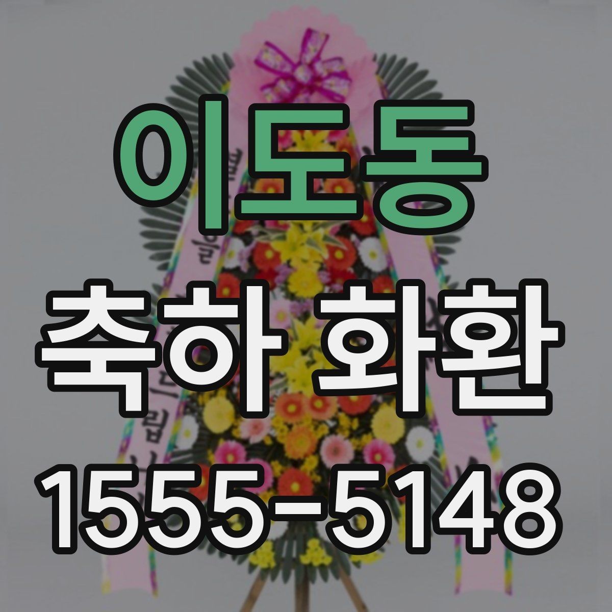 이도동 축하 화환 디자인별 느낌과 활용처