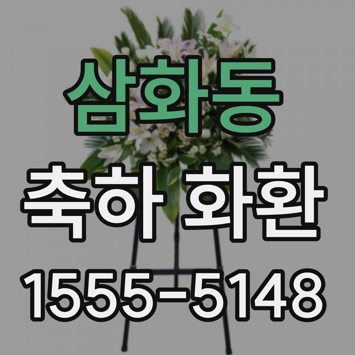 삼화동 축하 화환