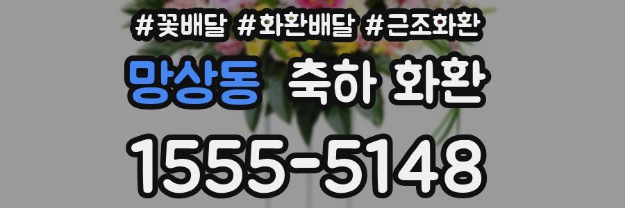 망상동 축하 화환