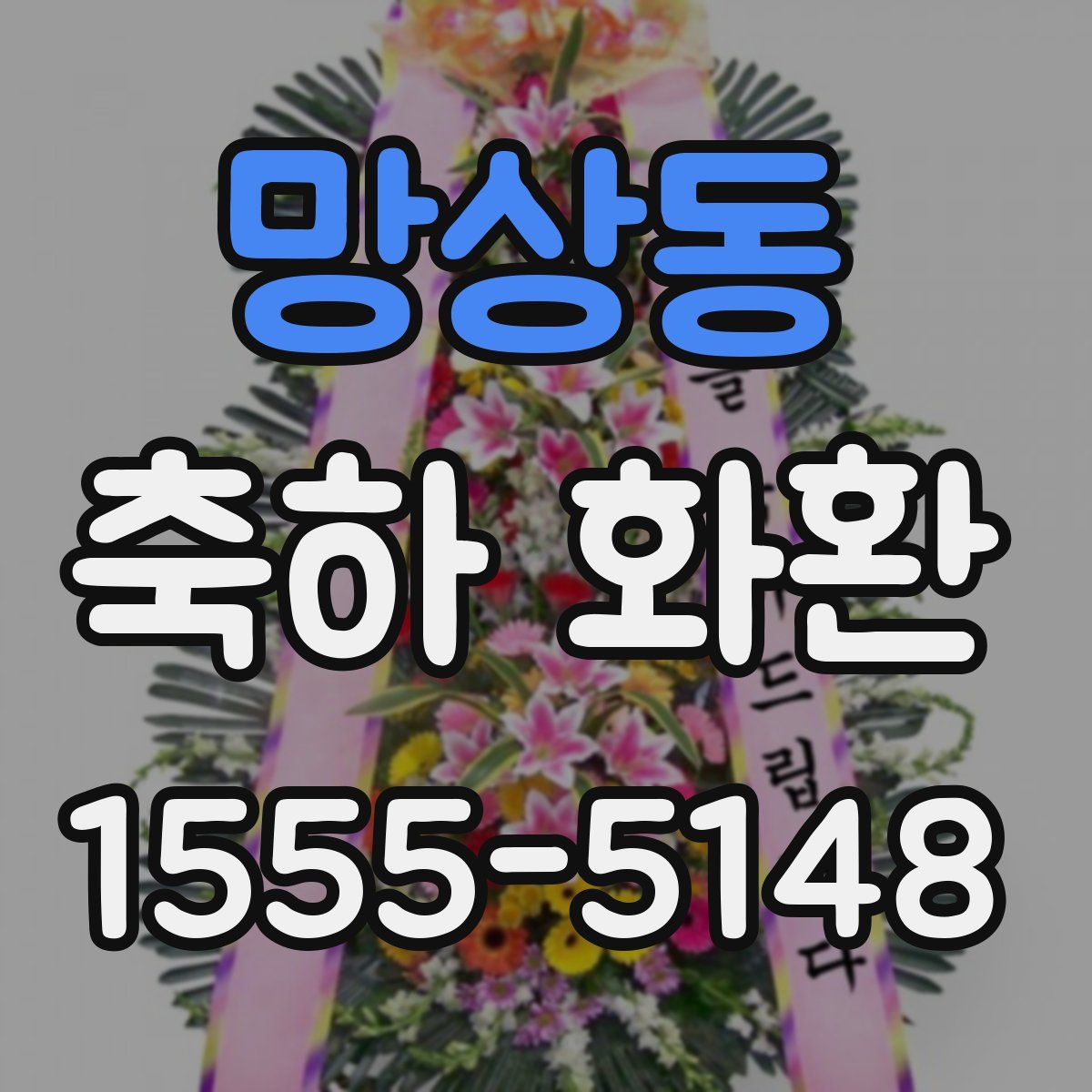 망상동 축하 화환