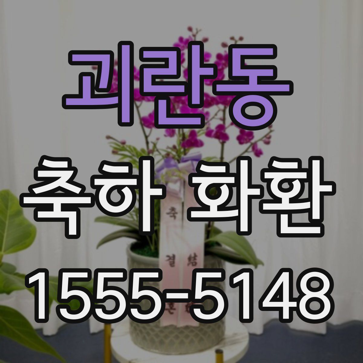 괴란동 축하 화환