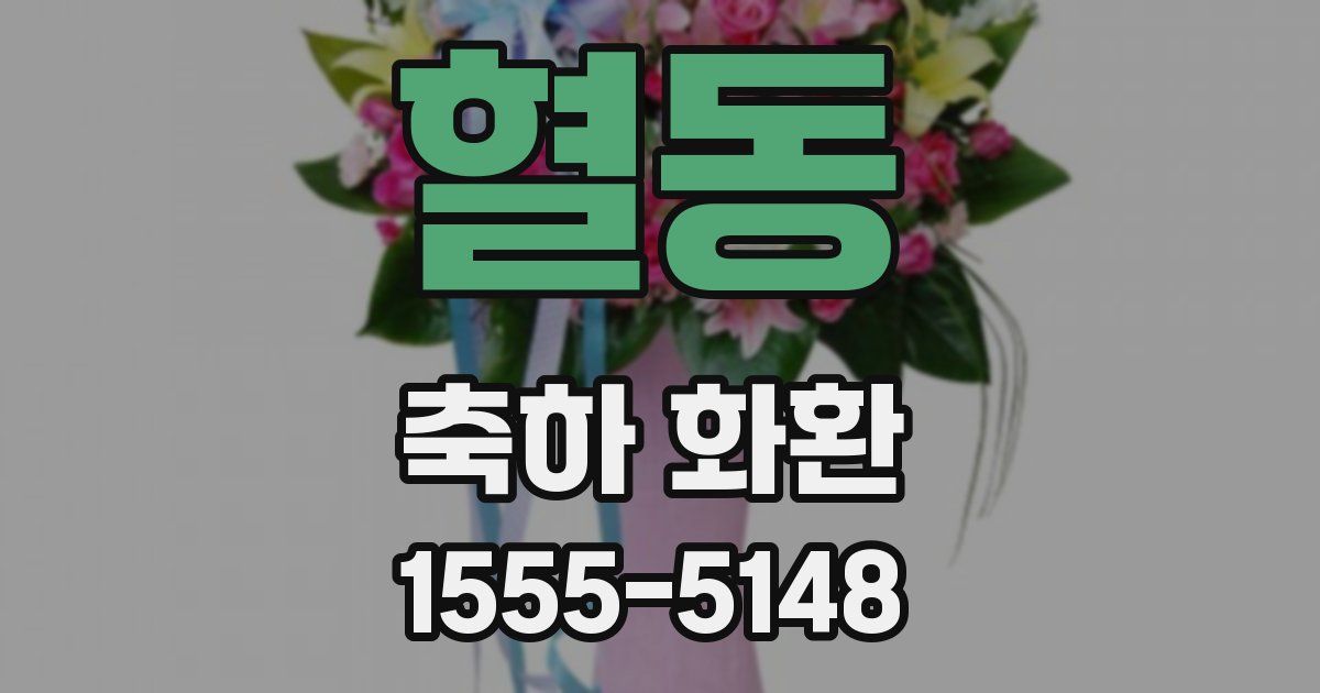 혈동 축하 화환