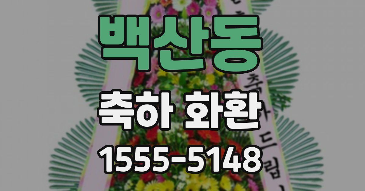 백산동 축하 화환