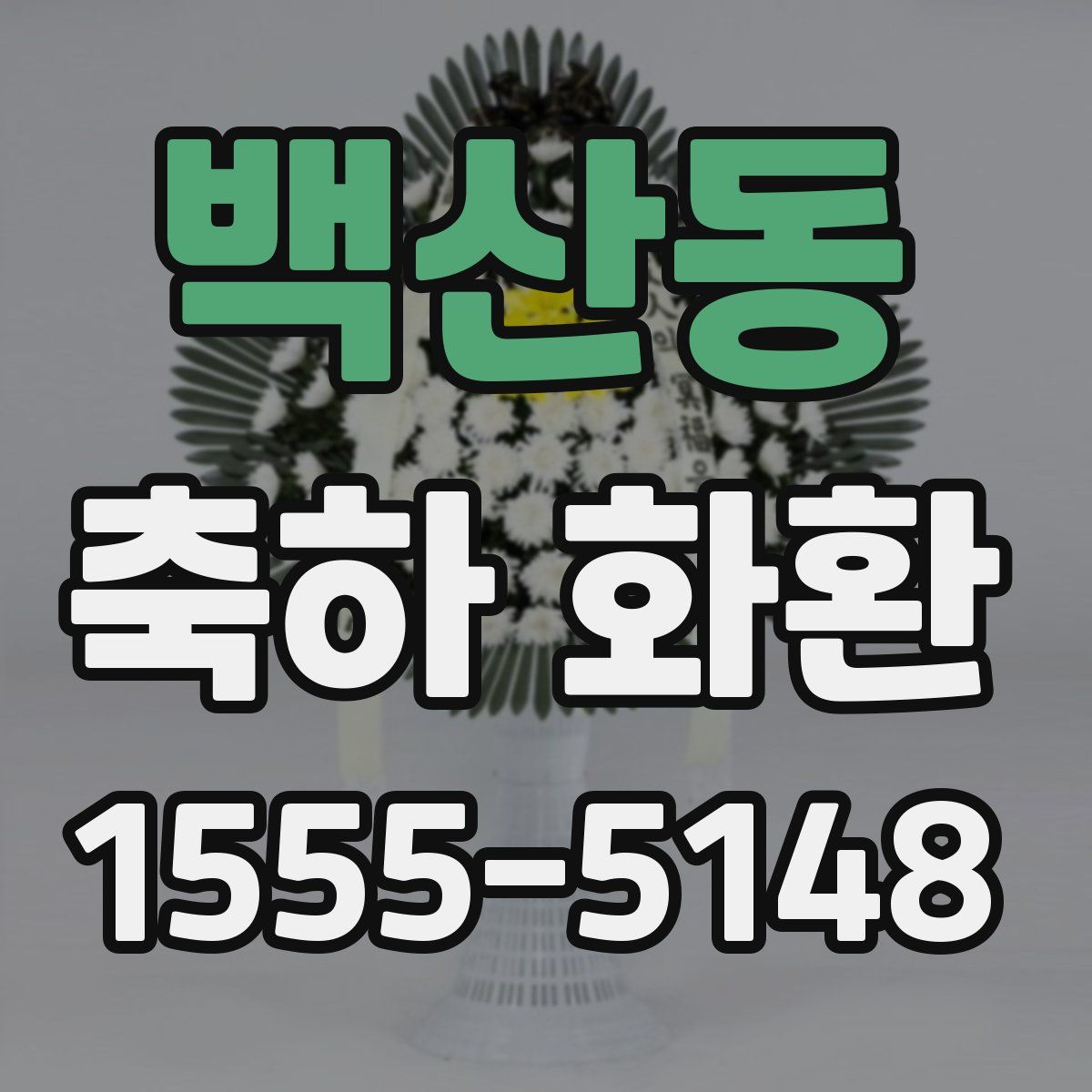 백산동 축하 화환