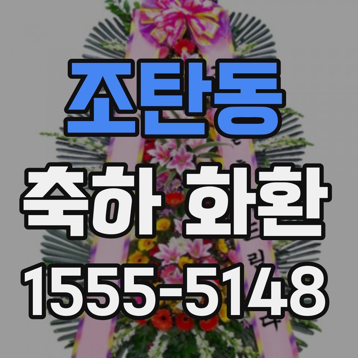 조탄동 축하 화환
