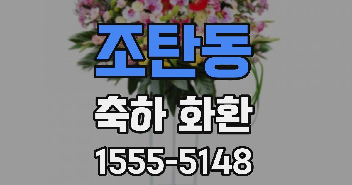 조탄동 축하 화환