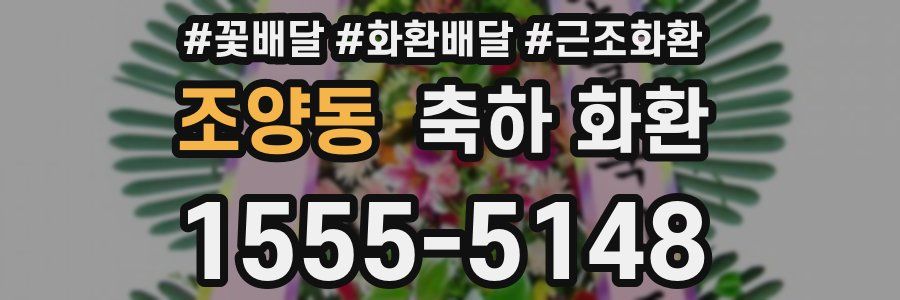 조양동 축하 화환
