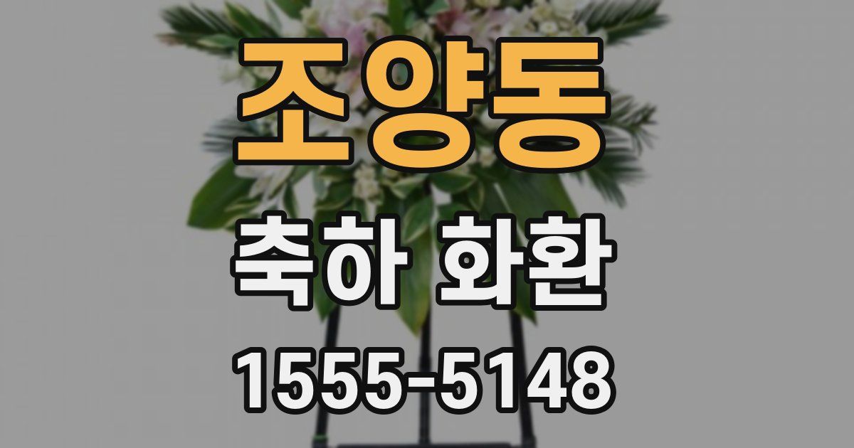 조양동 축하 화환