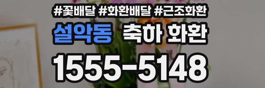 설악동 축하 화환