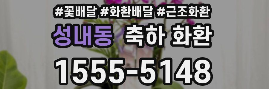 성내동 축하 화환