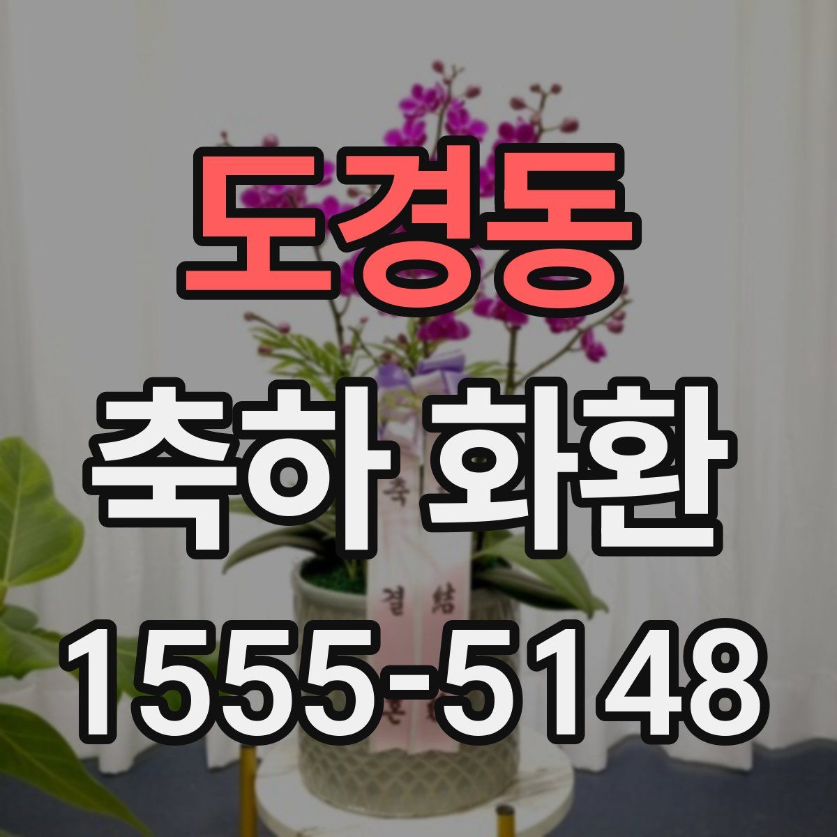 도경동 축하 화환