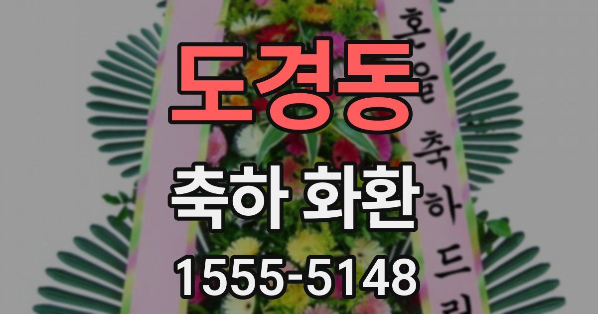 도경동 축하 화환
