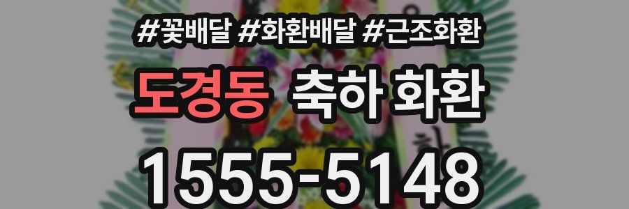 도경동 축하 화환