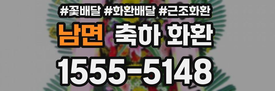 남면 축하 화환
