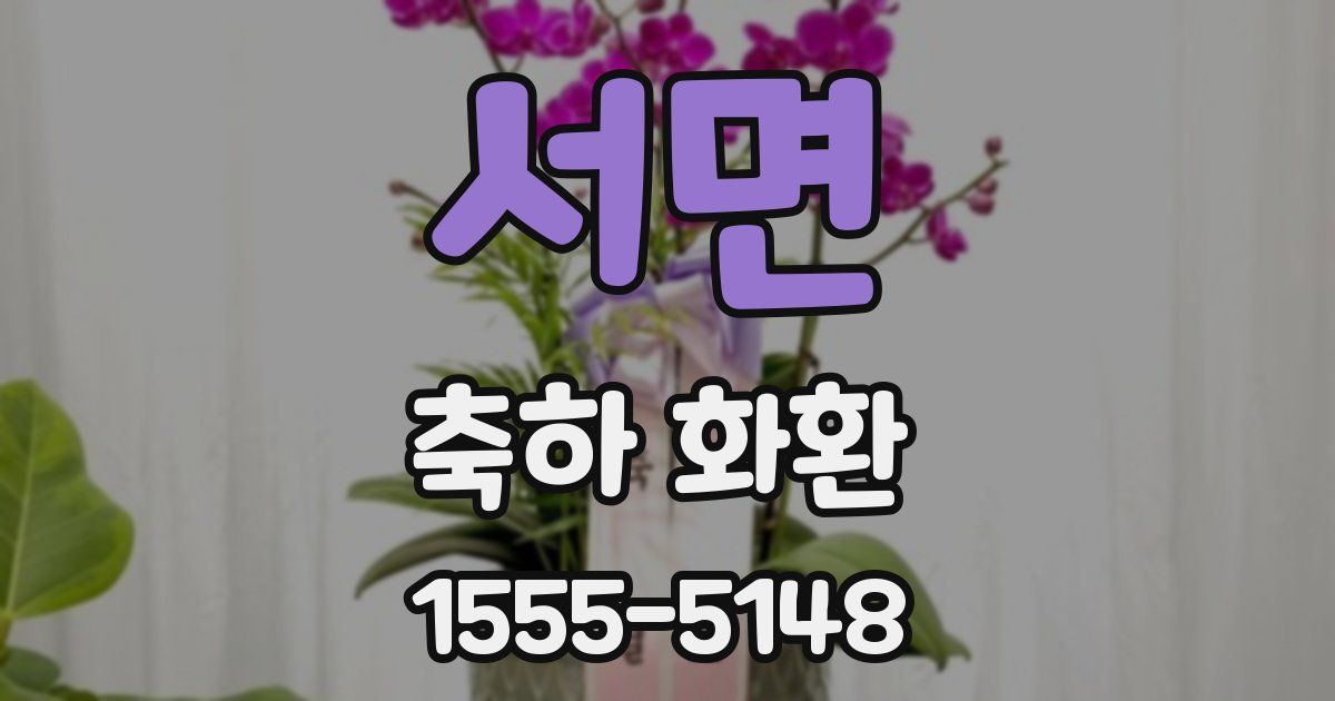 서면 축하 화환