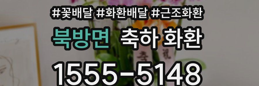 북방면 축하 화환