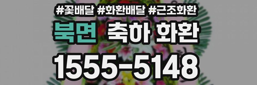 북면 축하 화환