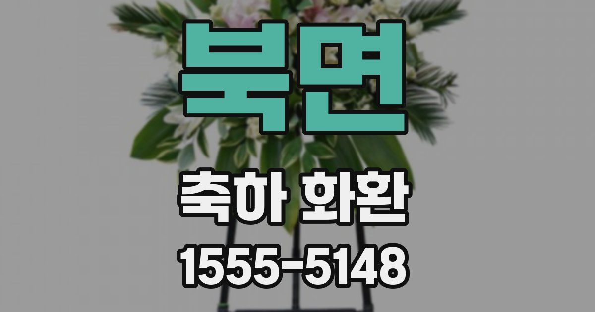 북면 축하 화환