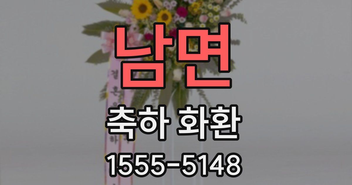 남면 축하 화환