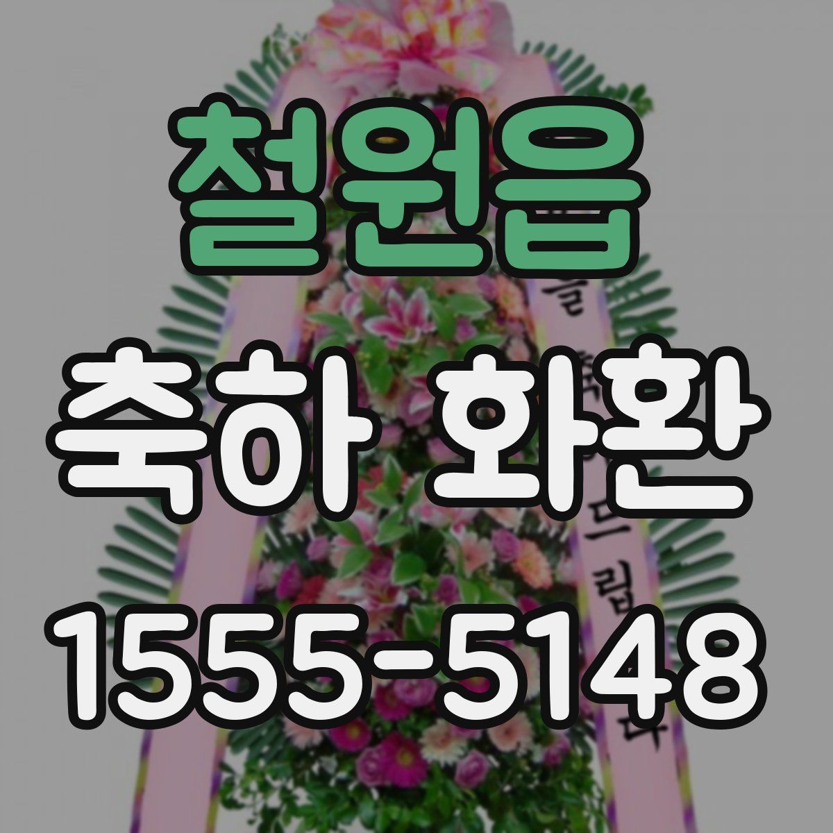 철원읍 축하 화환