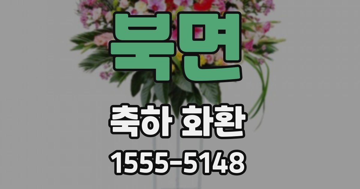 북면 축하 화환